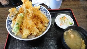 天ぷら5個で最強の天丼作るならさ