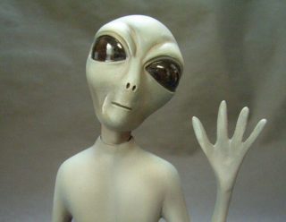 宇宙人もしくは地球外生命体否定派っておるんか？