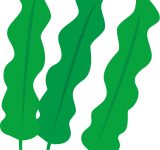 シーフードってシー（海の）フード（食べ物）ってことやんけ